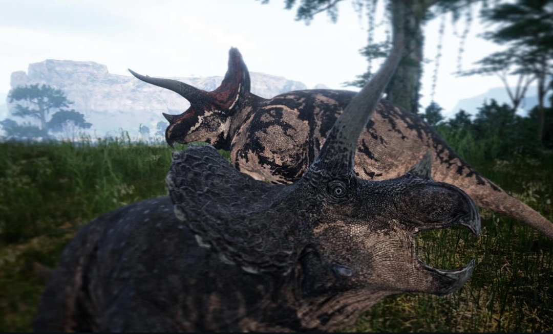 Triceratops