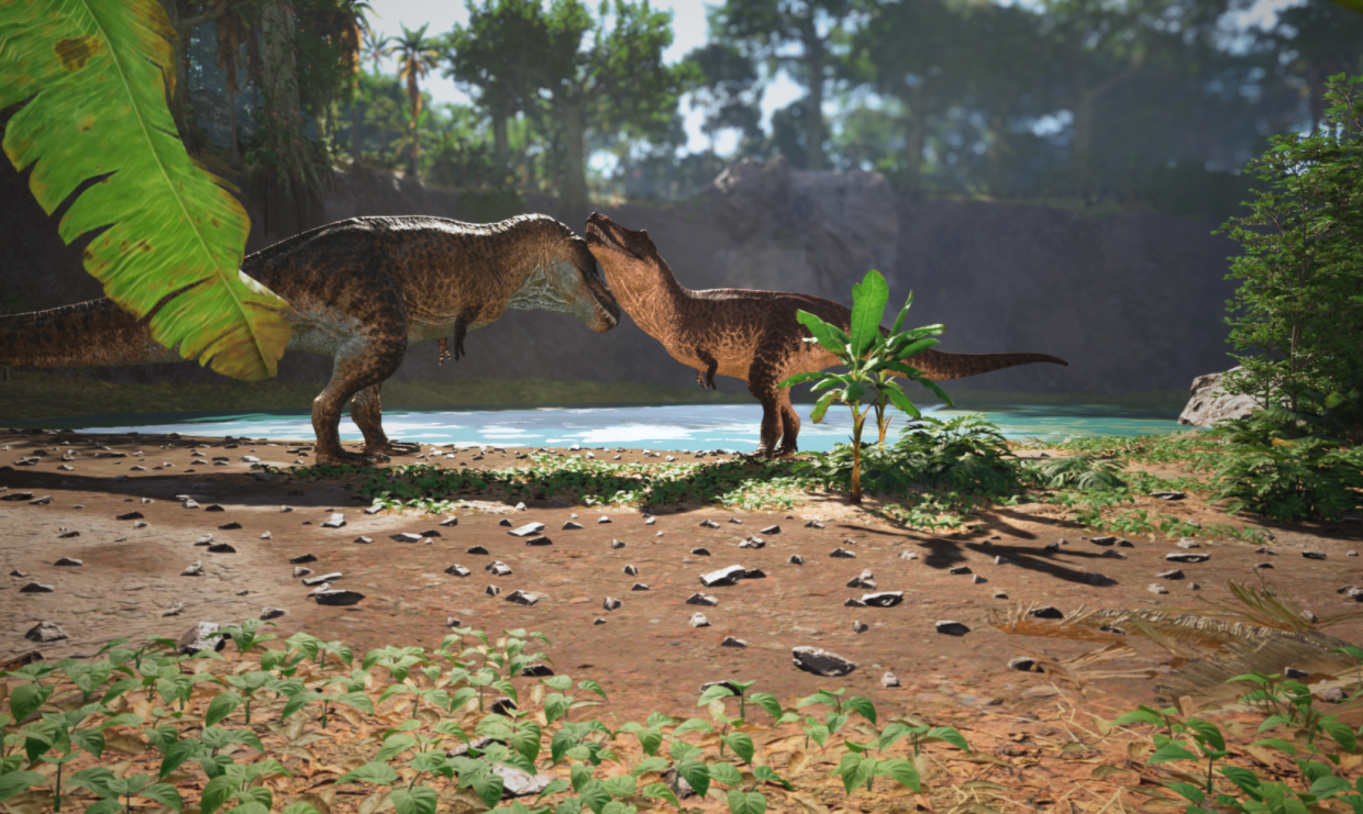 Saisons de reproduction