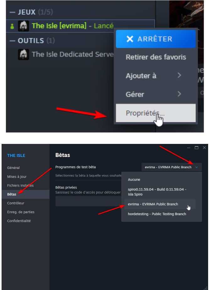 Étape 2 mettre la bonne version du jeu
