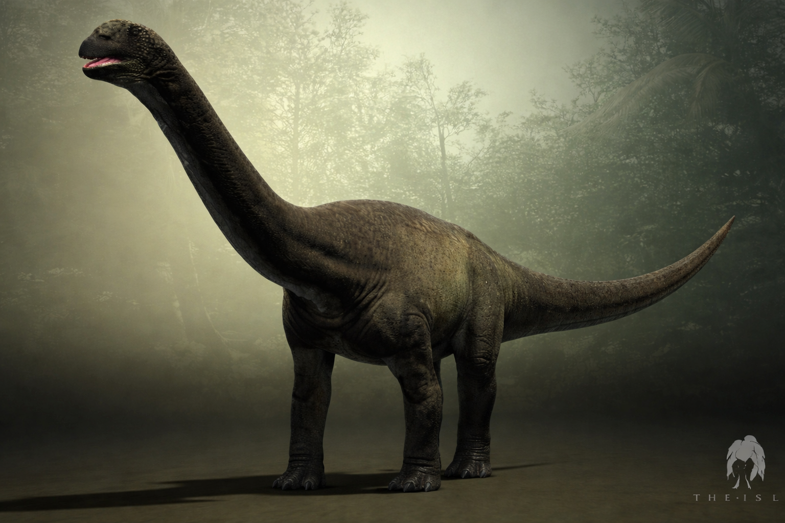 Camarasaurus