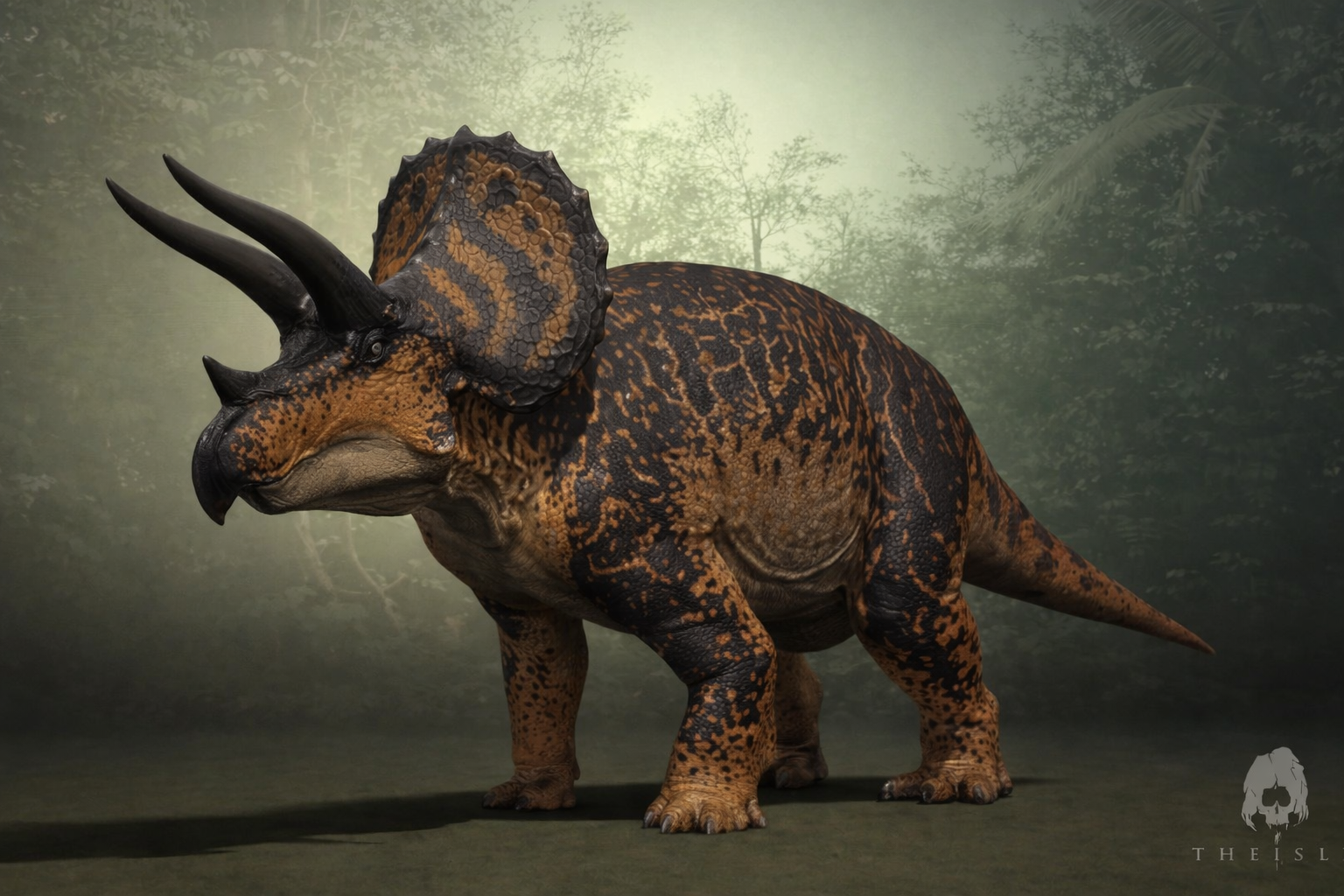 Triceratops
