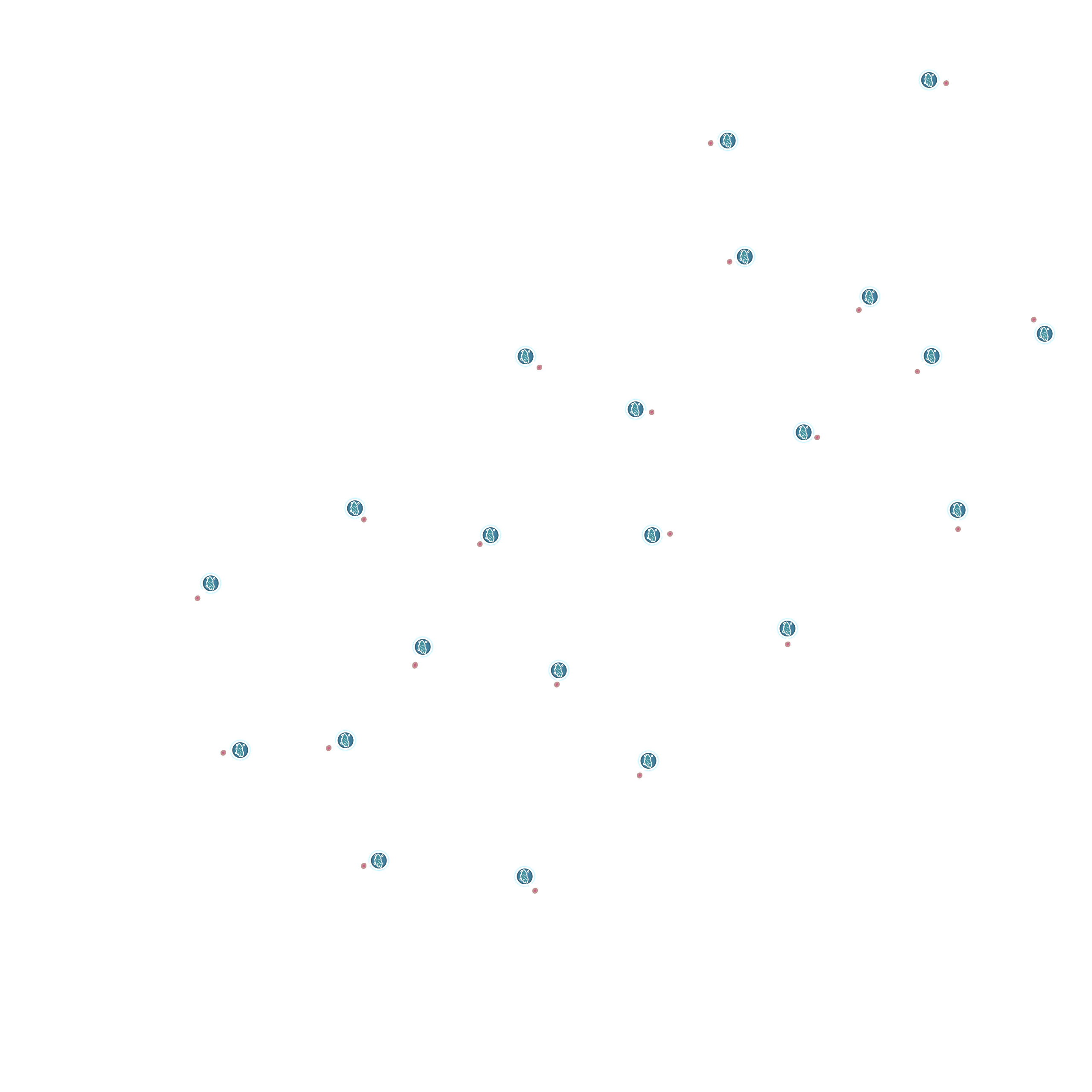 Emplacements des pierres de sel